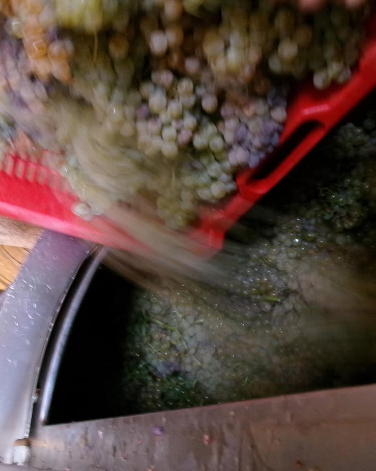 ¡Nos fuimos de Roadtrip a Francia a conocer nuevos productores de vino!