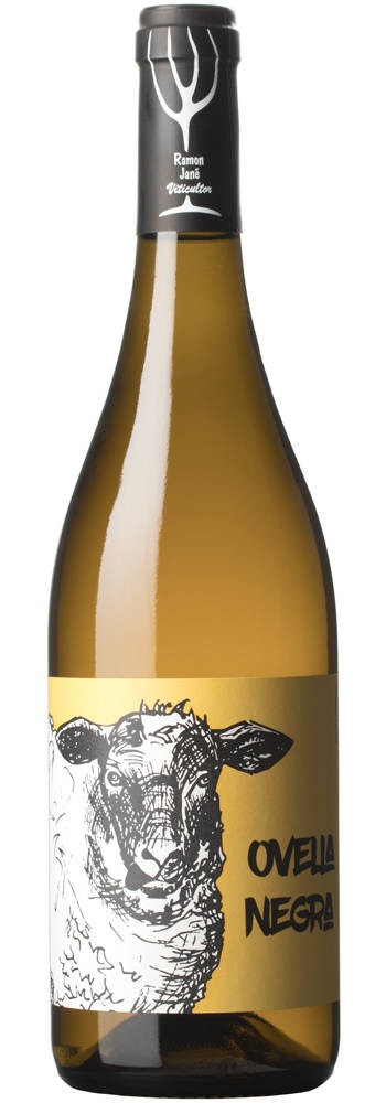 Ramon Jané. Ovella Negra
